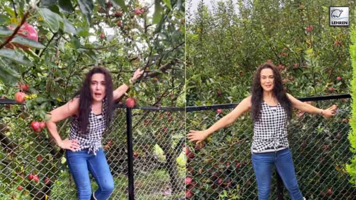 Preity Zinta apple garden