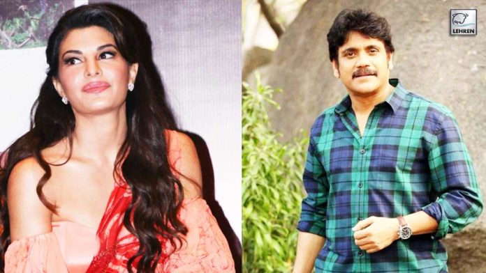jacqueline-fernandez-out-of-nagarjuna-the-ghost-amid-the-extortion-case-controversy