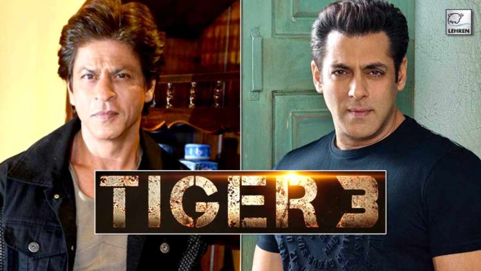 Shahrukh Khan To Start Shooting For Salman Khan Tiger 3