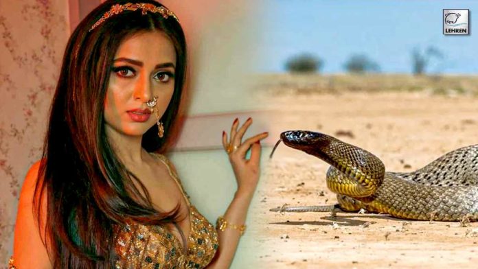 Real Snake Appeared On Naagin 6 Sets.