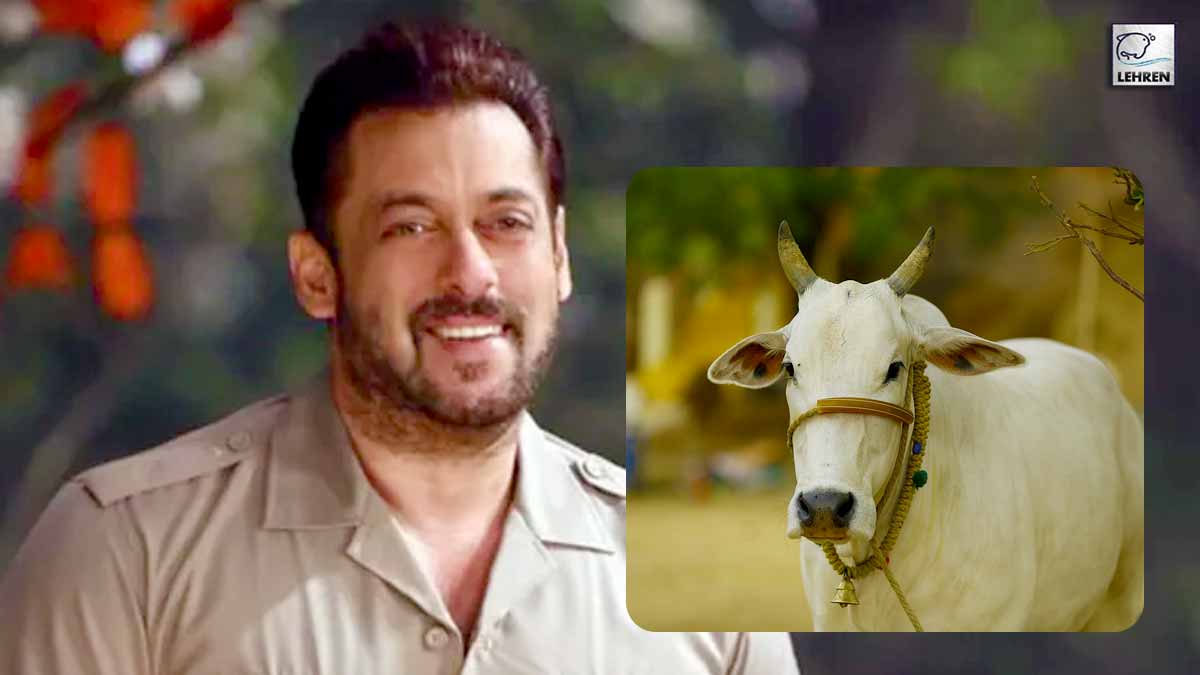 When Salman Khan said that cow is our mother
