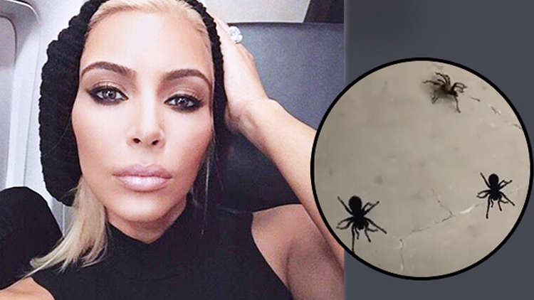 Kim Kardashian finds giant tarantulas in her house and people freak out!