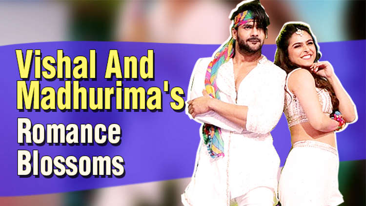 Madhurima Tuli and Vishal Aditya Singh’s love story is blossoming again?