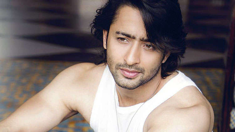 7 Lesser Known Facts About Shaheer Sheikh