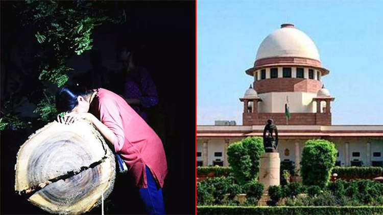 No further cutting of trees needed": SC on Aarey standoff