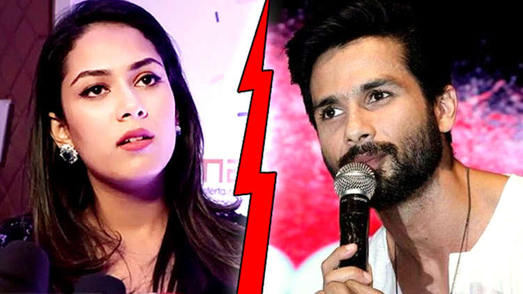 Things not well between Shahid Kapoor and Mira Rajput?