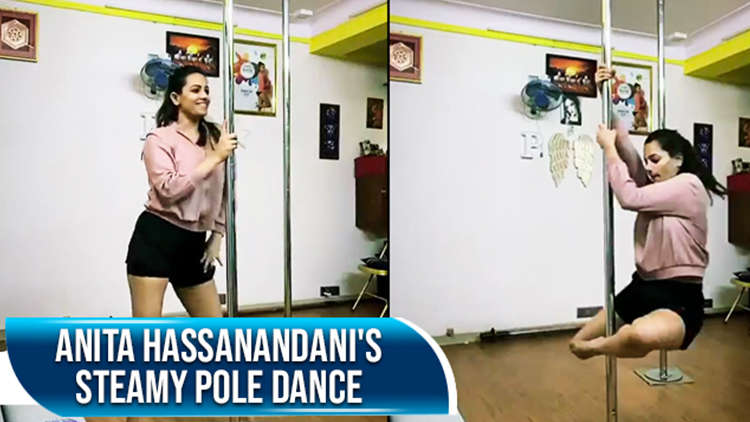 Anita Hassanandani's Pole Dancing Is Giving Us Major Fitness Inspiration