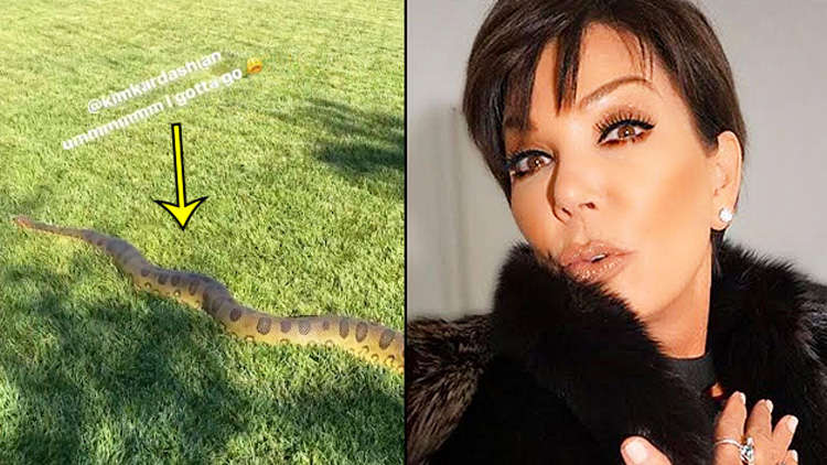 Kris Jenner freaks out after spotting an Anaconda in Kim's backyard
