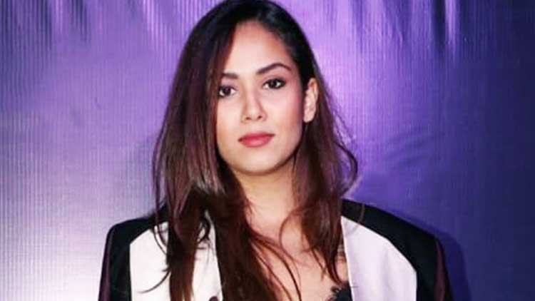 Not Bollywood, Mira Rajput Has This Plan To Start Her Career