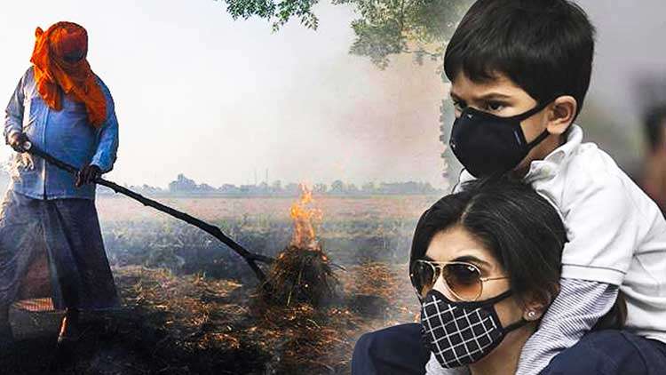 Why farmers burn stubble that causes air pollution every year?