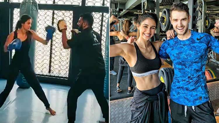Disha Patani's Workout Video Reveals Why She Has Got The Perfect Figure