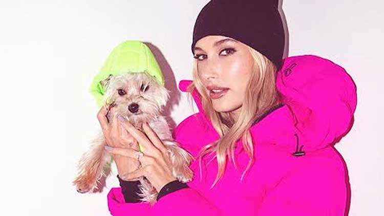 Justin Bieber And Hailey Baldwin's Puppy WRECK Their Christmas Tree