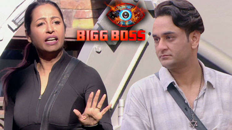 Bigg Boss 13 Preview: Kashmera Shah Gets Irked By Vikas Gupta’s Comments On Arti Singh