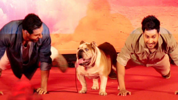 Bollywood Actors Playing With Dogs Is Too Cute To Handle
