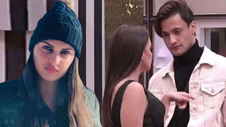 Here’s Why Himanshi Khurana Urged Her Followers To Stop Criticizing Asim Riaz