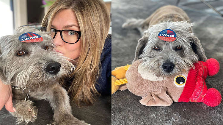 Jennifer Aniston Shares Quality “Quarantine Time”With Pet Clyde