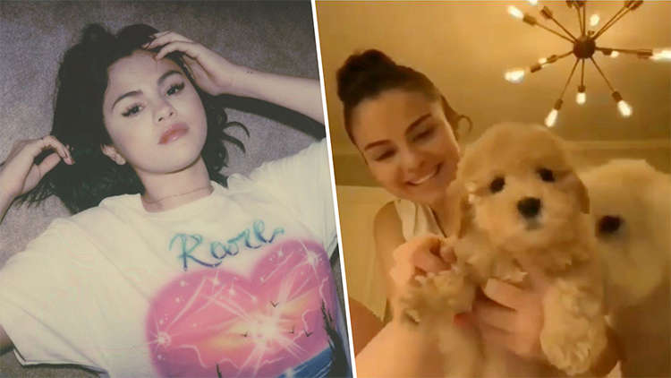 Selena Gomez Reveals That She Has Adopted A Foster Puppy To Accompany Her During Self-Isolation
