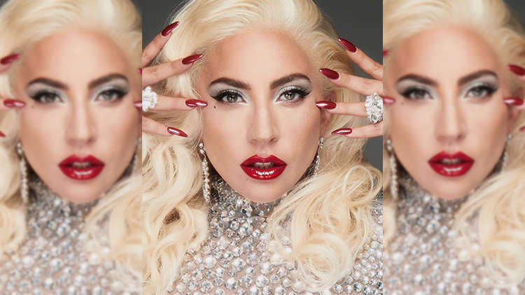 Lady Gaga Has New Species Of Insects Named After Her