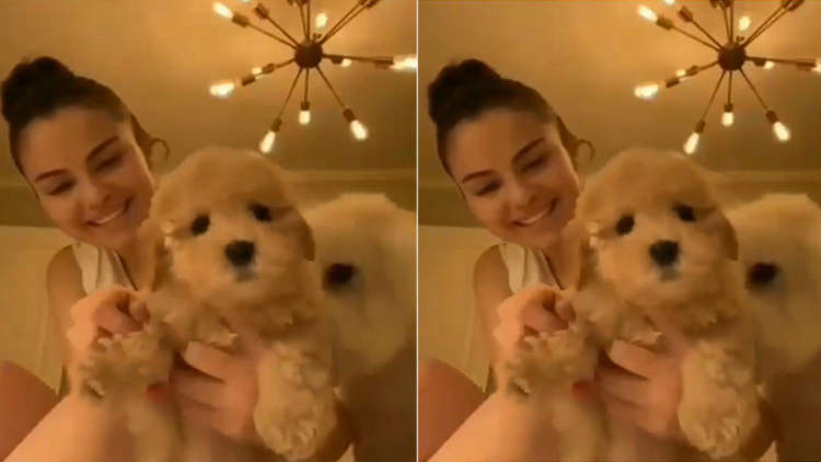 Selena Gomez Adopts A Foster Puppy While In Isolation