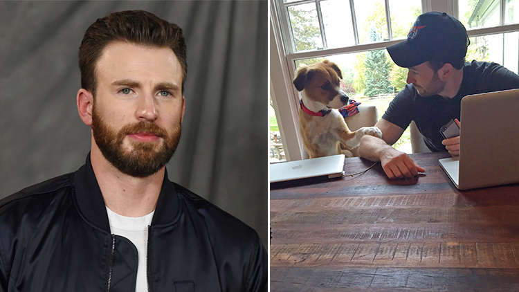 Chris Evans Gave An Update On His Life In Quarantine Life