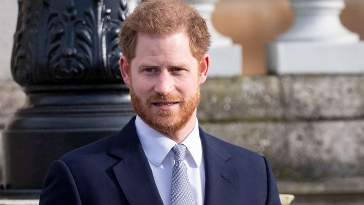 Prince Harry Bags An Unexpected Hollywood Project? Check Out
