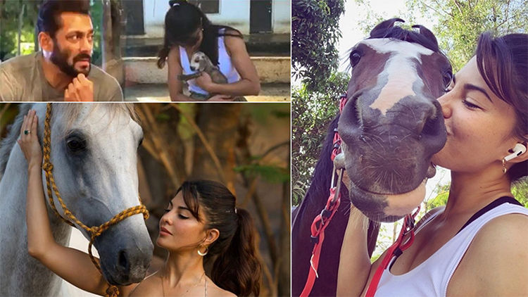 Here's how Jacqueline Fernandez Spends Her Lockdown Days At Salman Khan's Farmhouse