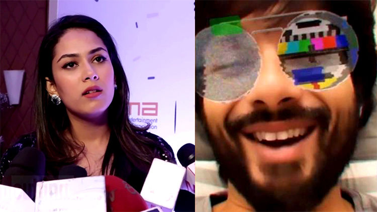 Mira Rajput Calls Shahid Kapoor's Quarantine Video 'Ridiculous'