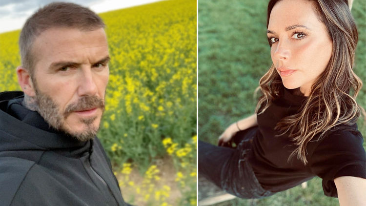 David Beckham Lovingly Teased Victoria’s Blazingly Bright Smile; ‘It’s RossFrom ‘Friends”