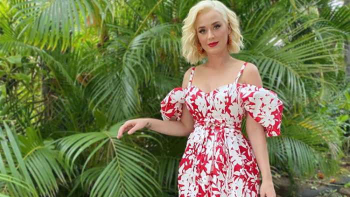 Katy Perry Shares Her Pregnancy Update; Check Out