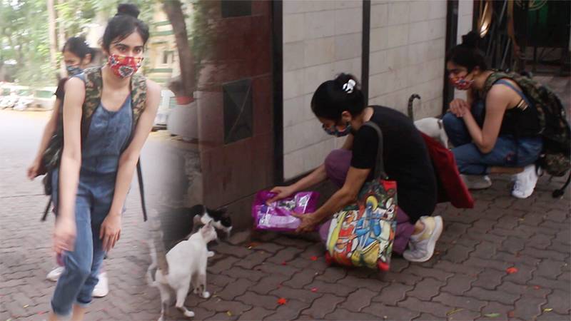 Adah Sharma Steps Out To Feed Stray Animals