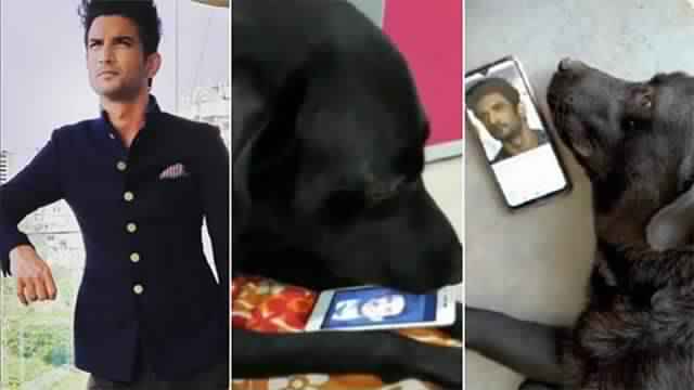Sushant Singh Rajput's Dog Is Devastated After His Demise