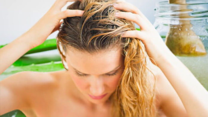 3 Simple Aloe Vera Gel Hair Mask For Deep Conditioning , Dandruff Problem And Healthy Hair Art
