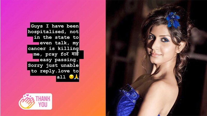 Actress Divya Chouksey Wrote A Heartbreaking Note Before Passing Away