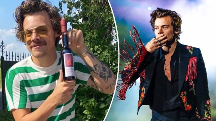 Harry Styles Makes The Internet Gush With His New Moustache Look