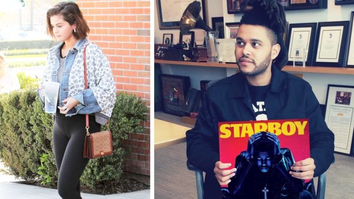 Here’s Why The Weeknd’s Fans Are Convinced His New Album ‘Snowchild’ Is About Selena Gomez