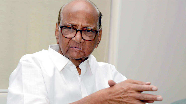 I made a mistake while selecting candidate for the Lok Sabha poll' says Sharad Pawar