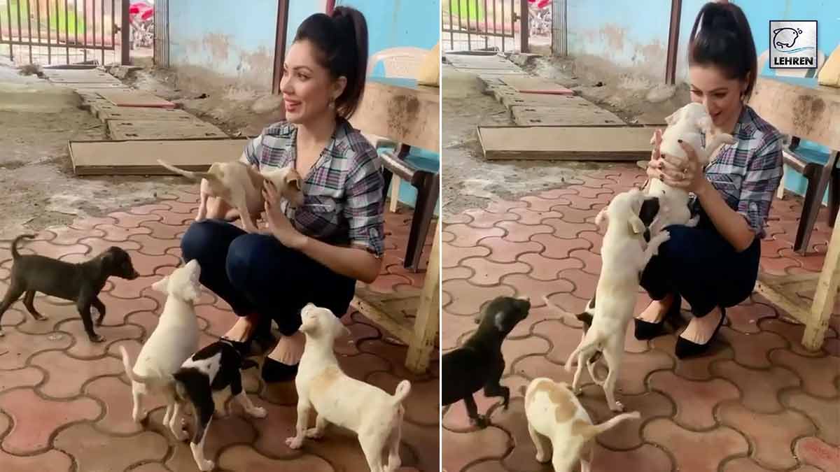 Munmun Dutta Plays With Rescue Puppies