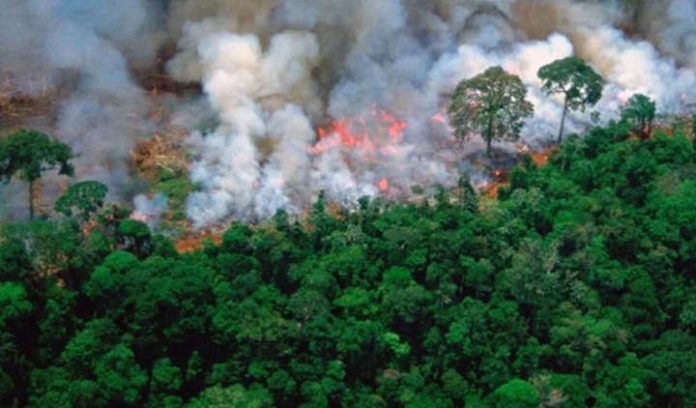 The blazing fire in the Amazon rain forest is a matter of serious concern