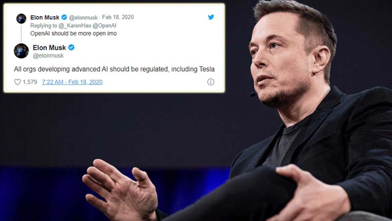 All organisations developing AI should be regulated, even Tesla: Elon Musk