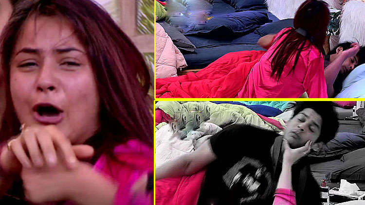 Shehnaaz is out of control furious and exasperated as purposely poked by Siddharth