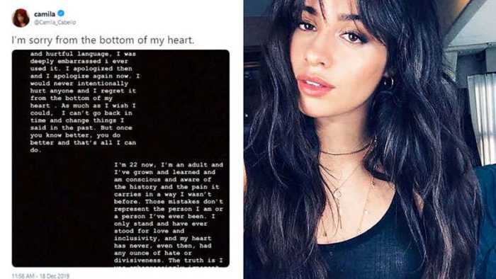 Camila Cabello Issues Heartfelt Apology For Racist Remarks: ‘I was uneducated and ignorant"