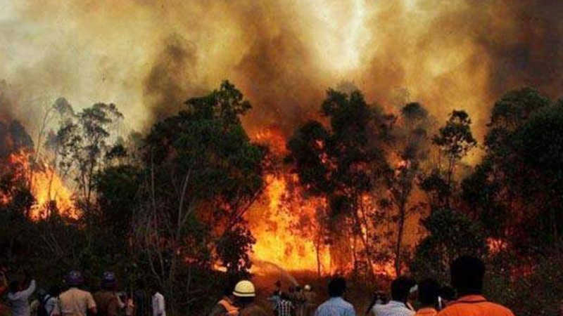 Uttarakhand Wildfire: Forest Has Been Burning For 4 Days, 46 Wildfires & Over Half The Wildlife Species In Danger