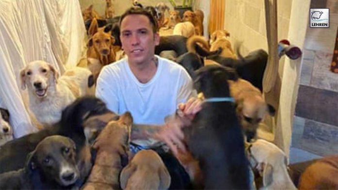 Man Saves 300 Dogs