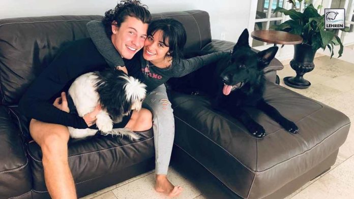 Camila Cabello and Shawn Mendes Take Next Step In Their Relationship?