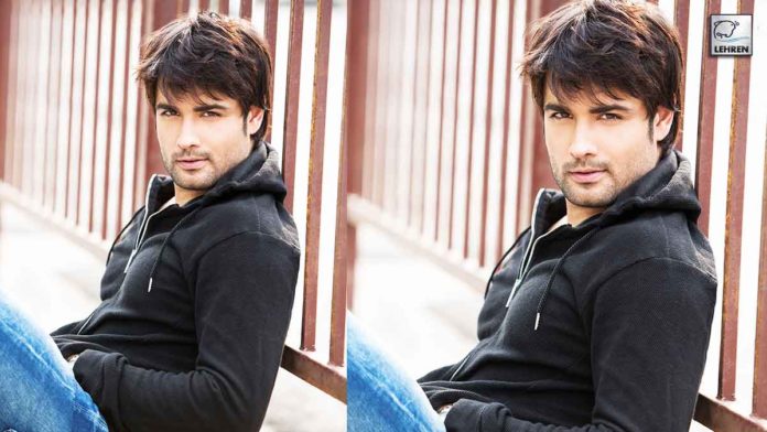 Vivian Dsena Succeed