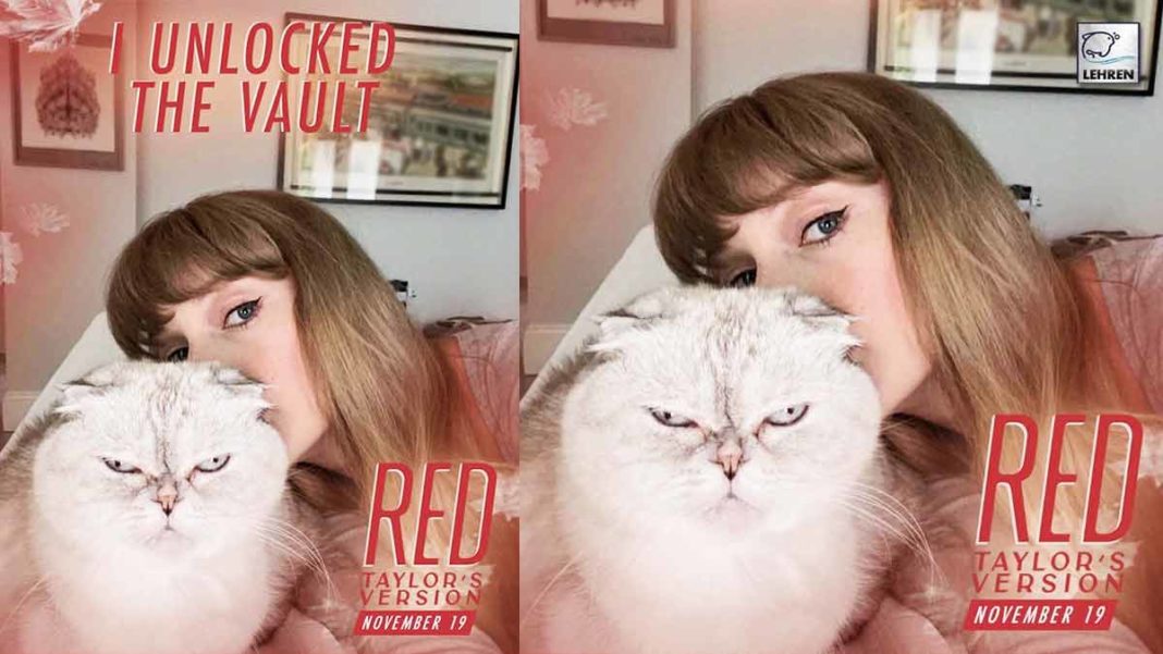 Taylor Drops Red Puzzle