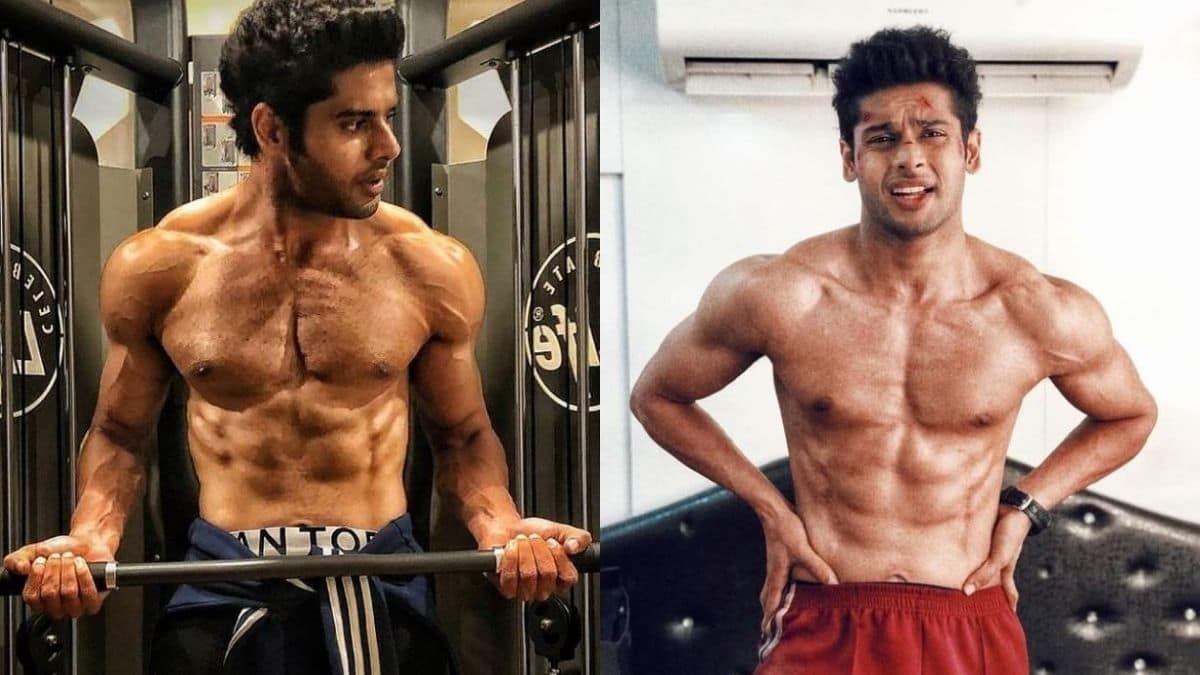 10 Shirtless Pictures Of Abhimanyu Dassani That'll Make You Say ...