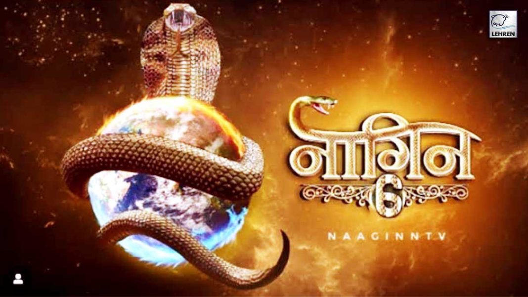 This Bigg Boss Contestant Is All Set To Play Male Lead Role In 'Naagin 6'