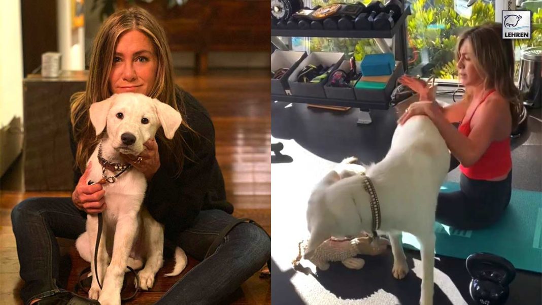 Jennifer Aniston Gets Interrupted By Her Dogs In 'Adorable' Workout Video