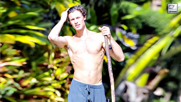 Shawn Mendes Goes Shirtless While Taking A Stroll On Hawaii Streets